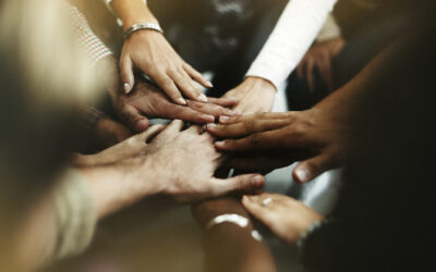 THE NEW EMPLOYMENT EQUITY AMENDMENT BILL – AN OVERVIEW OF THE KEY AMENDMENTS